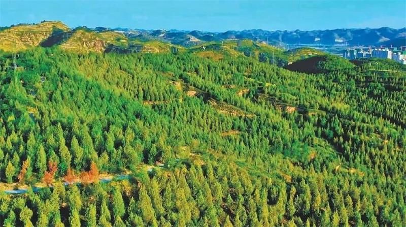 劃時代意義的電、磁、聲、波技術工程 是推動農林業發展的主動力